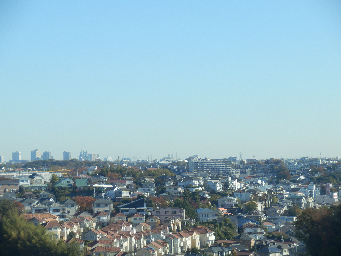 PB22010251.jpg