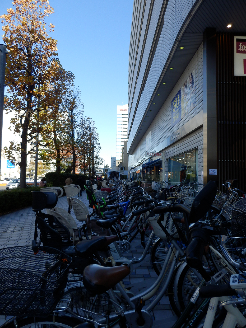 PB22010256.jpg
