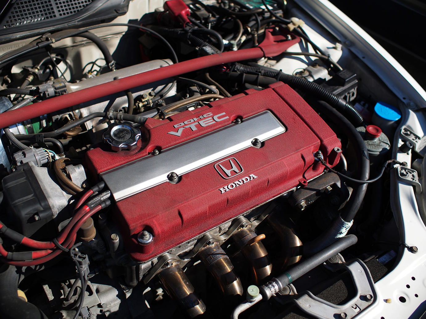 PP300228.jpg
