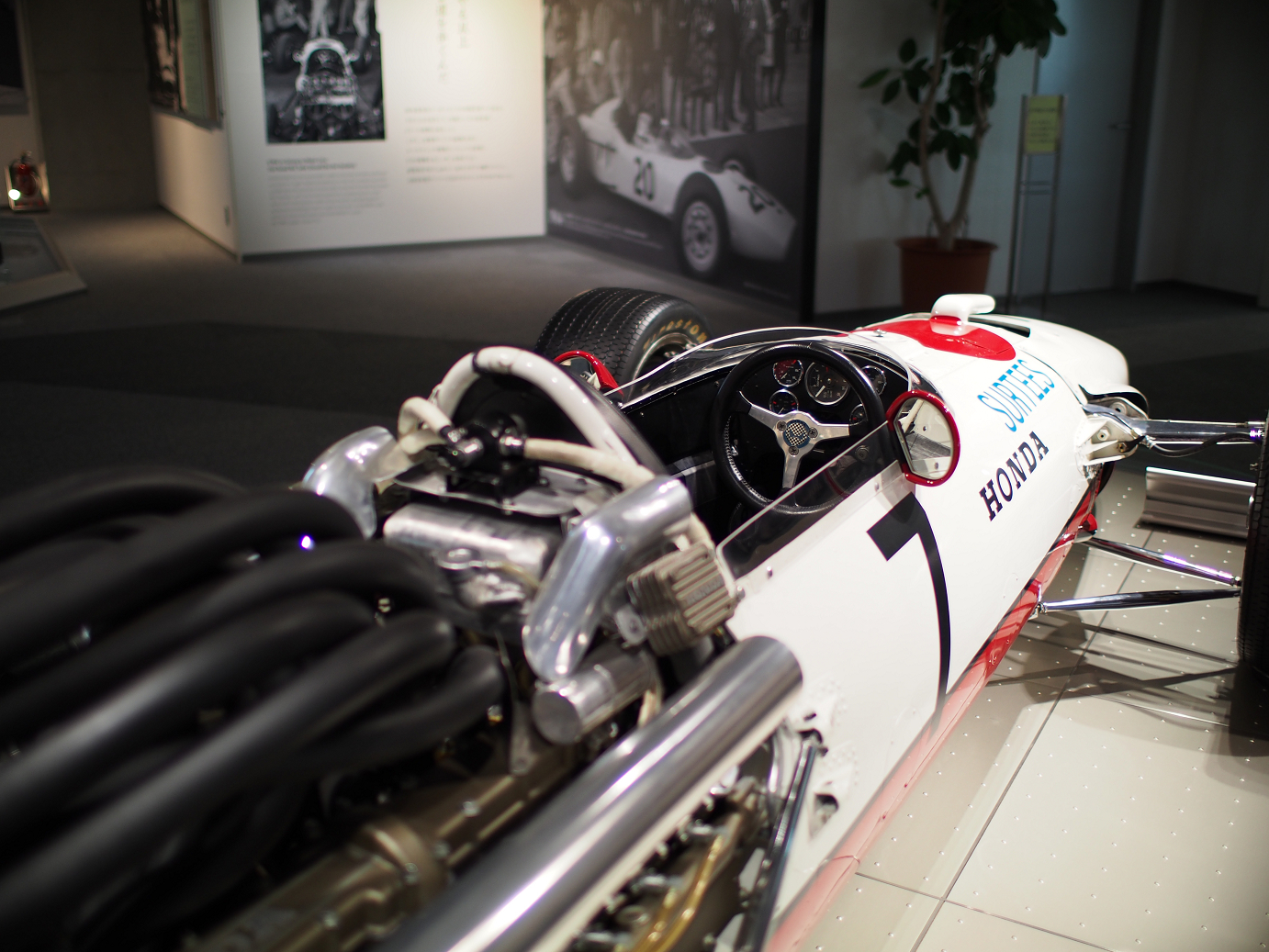 PP300330.jpg