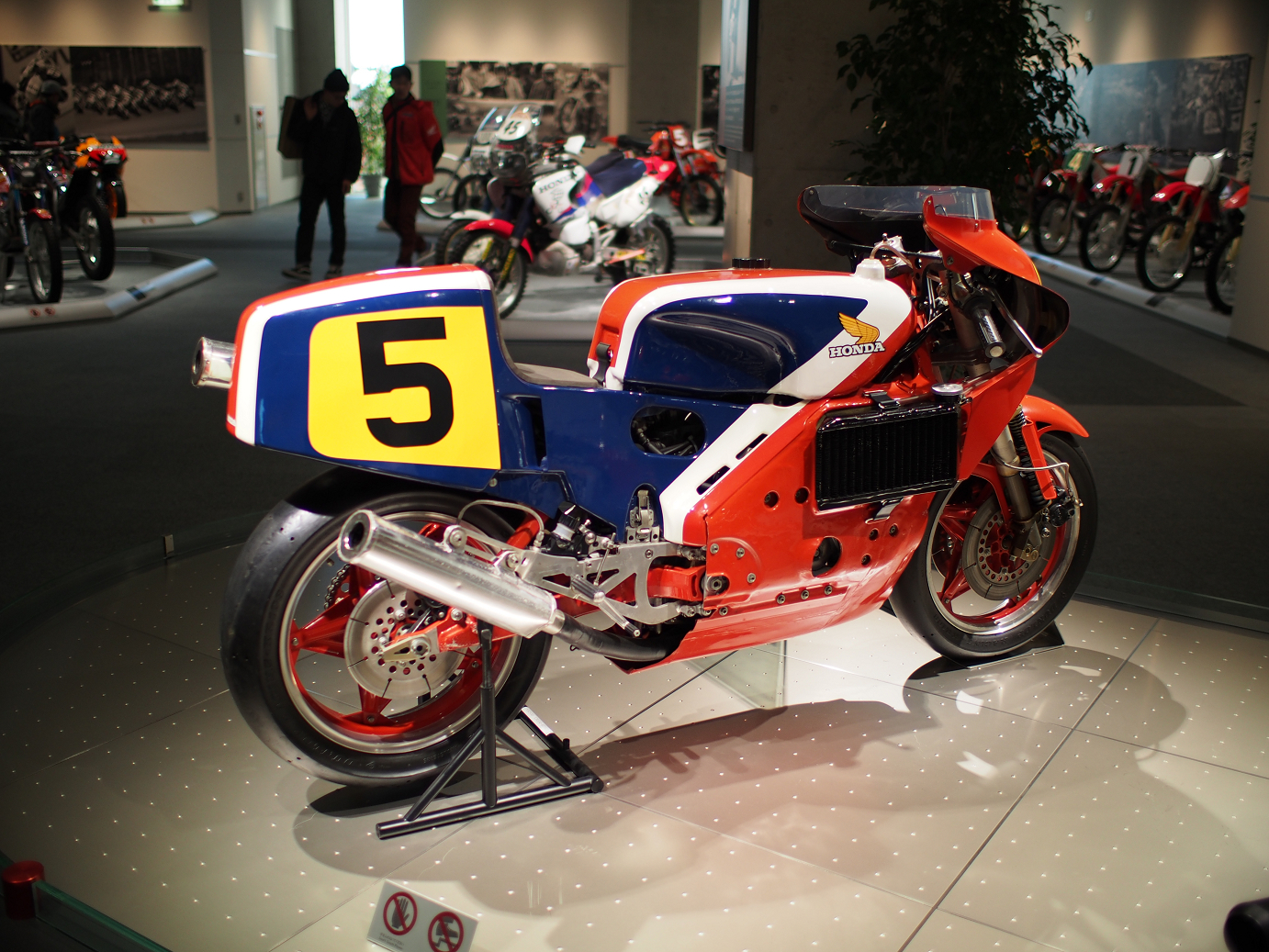 PP300347.jpg