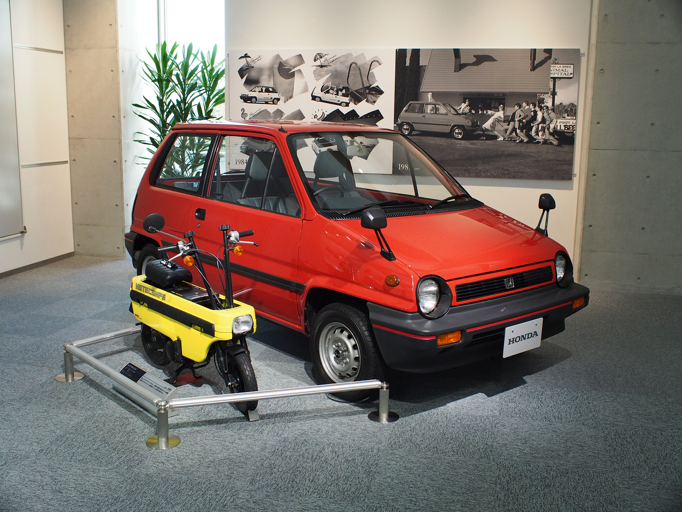 PP300357.jpg
