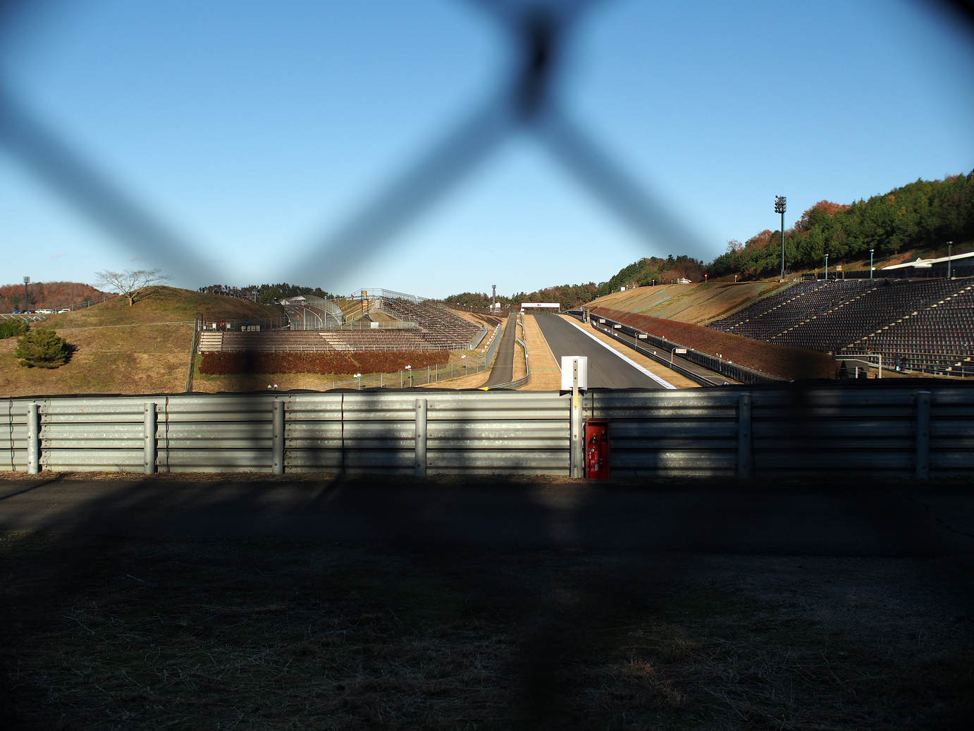 PP300365.jpg