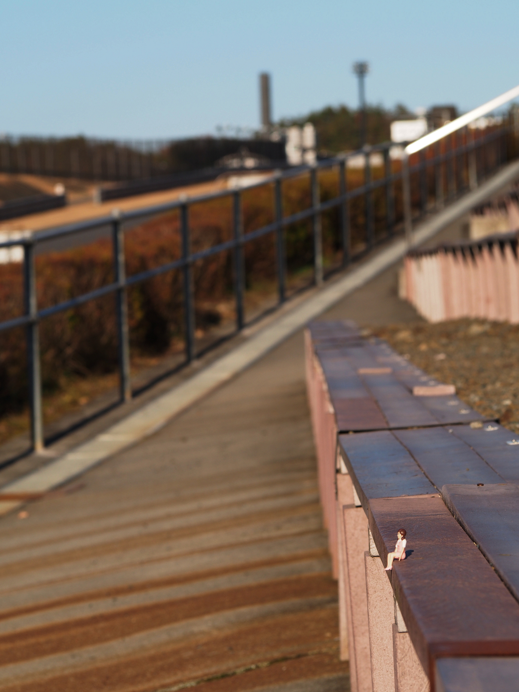 PP300369.jpg