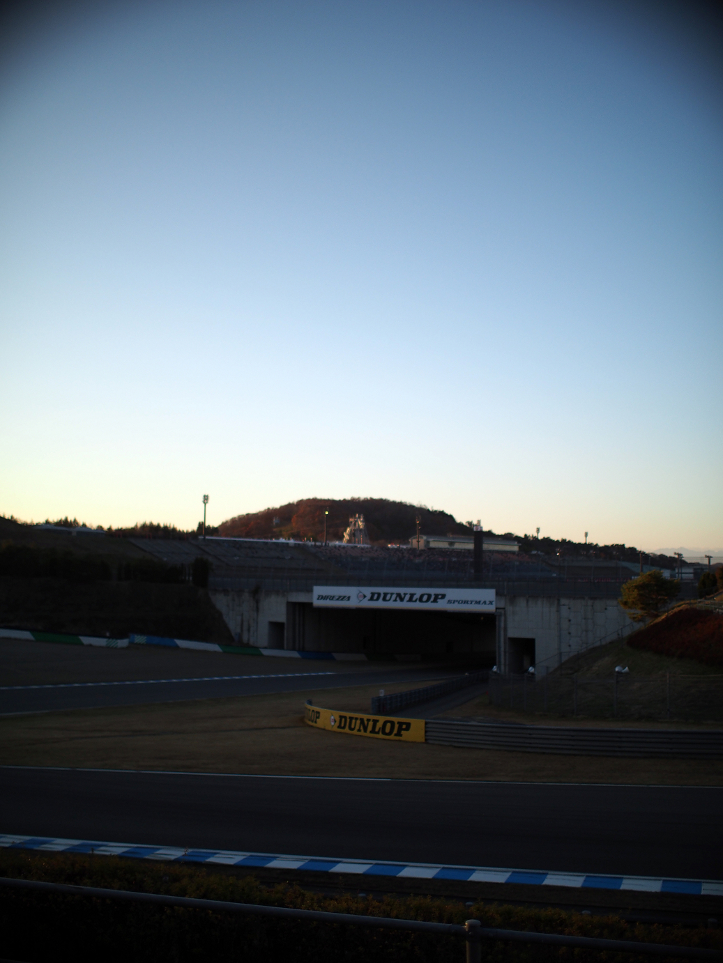PP300387.jpg