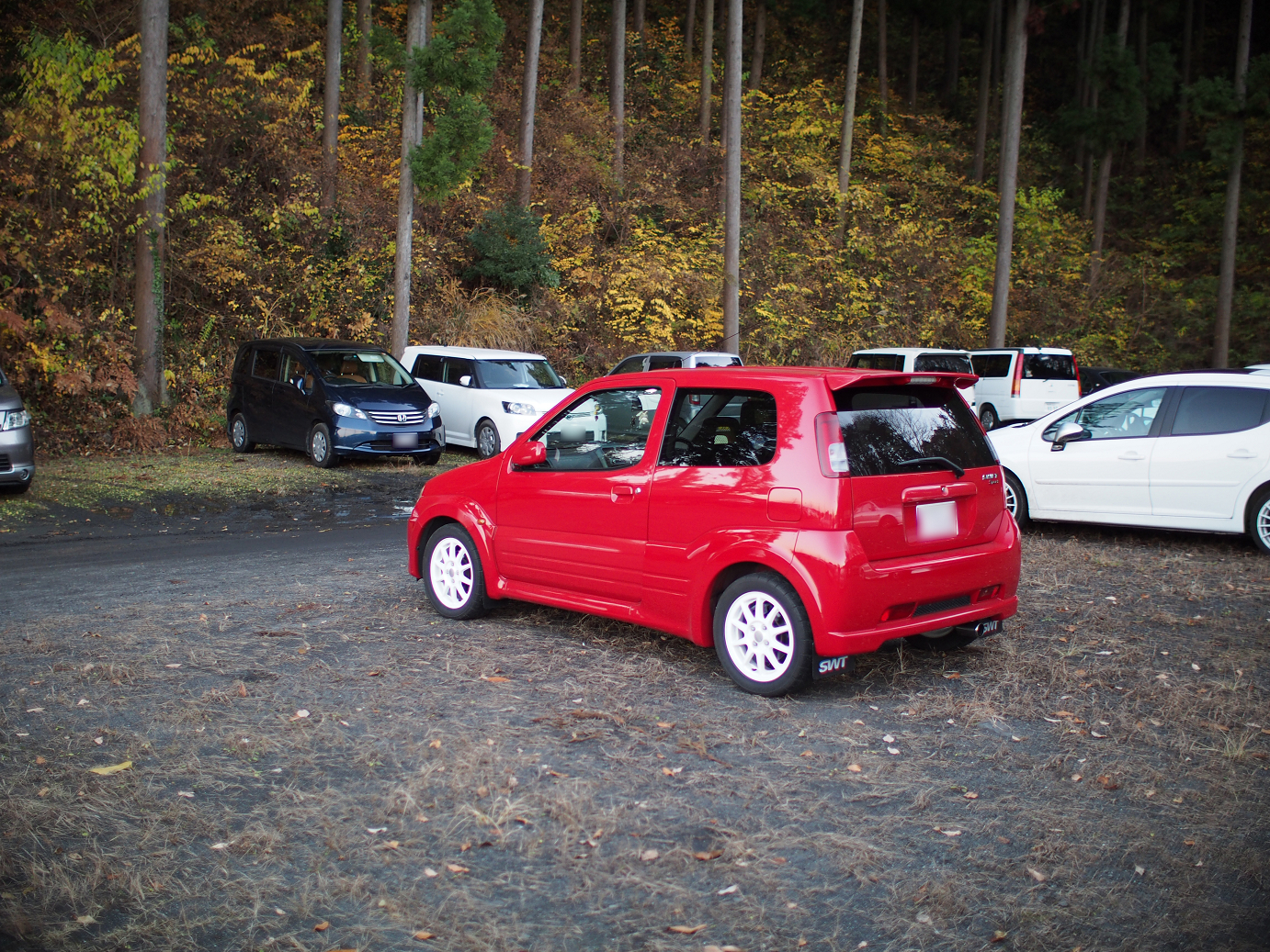 PP300395.jpg