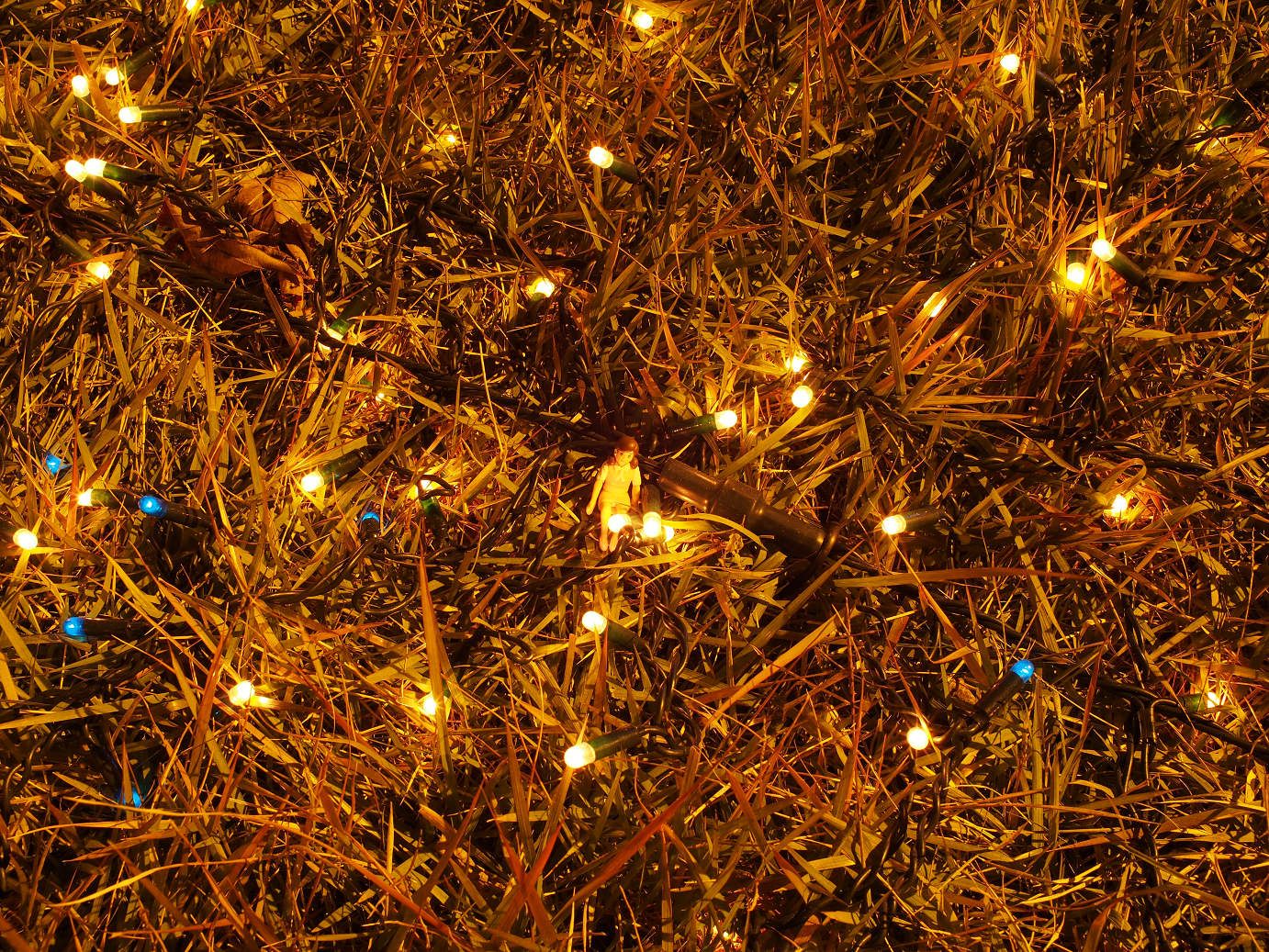 PP300404.jpg