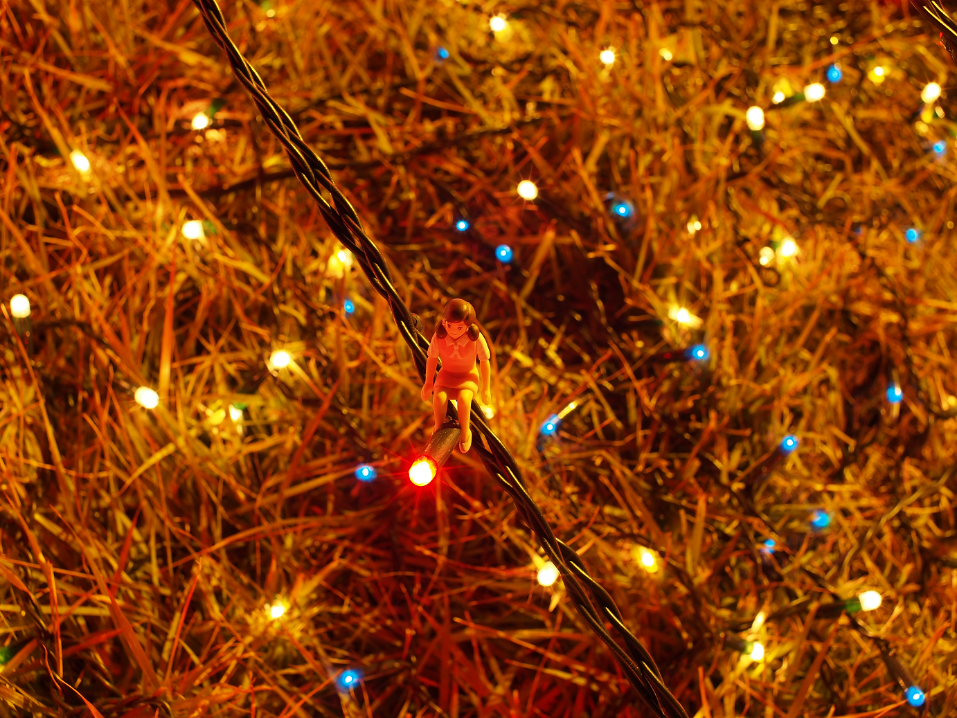 PP300405.jpg