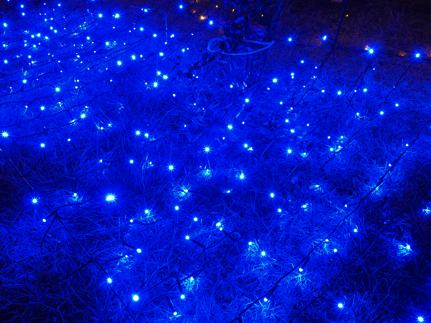 PP300408.jpg