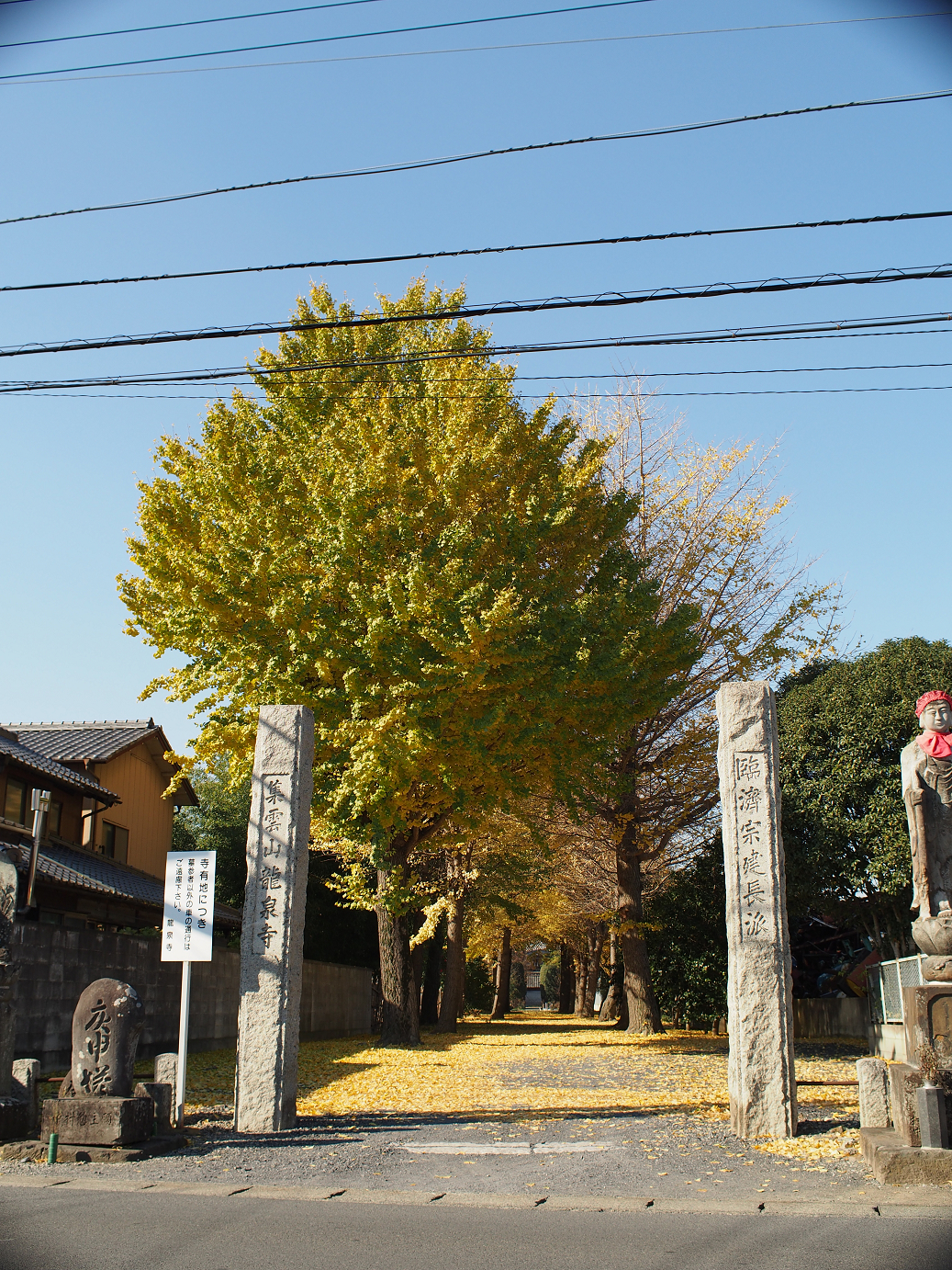 PC010908.jpg