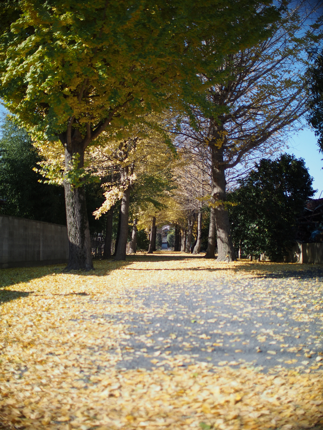 PC010911.jpg