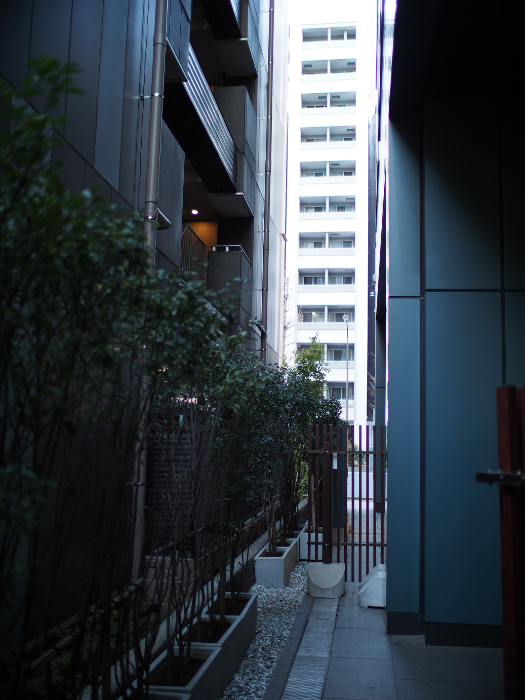 PC300084.jpg