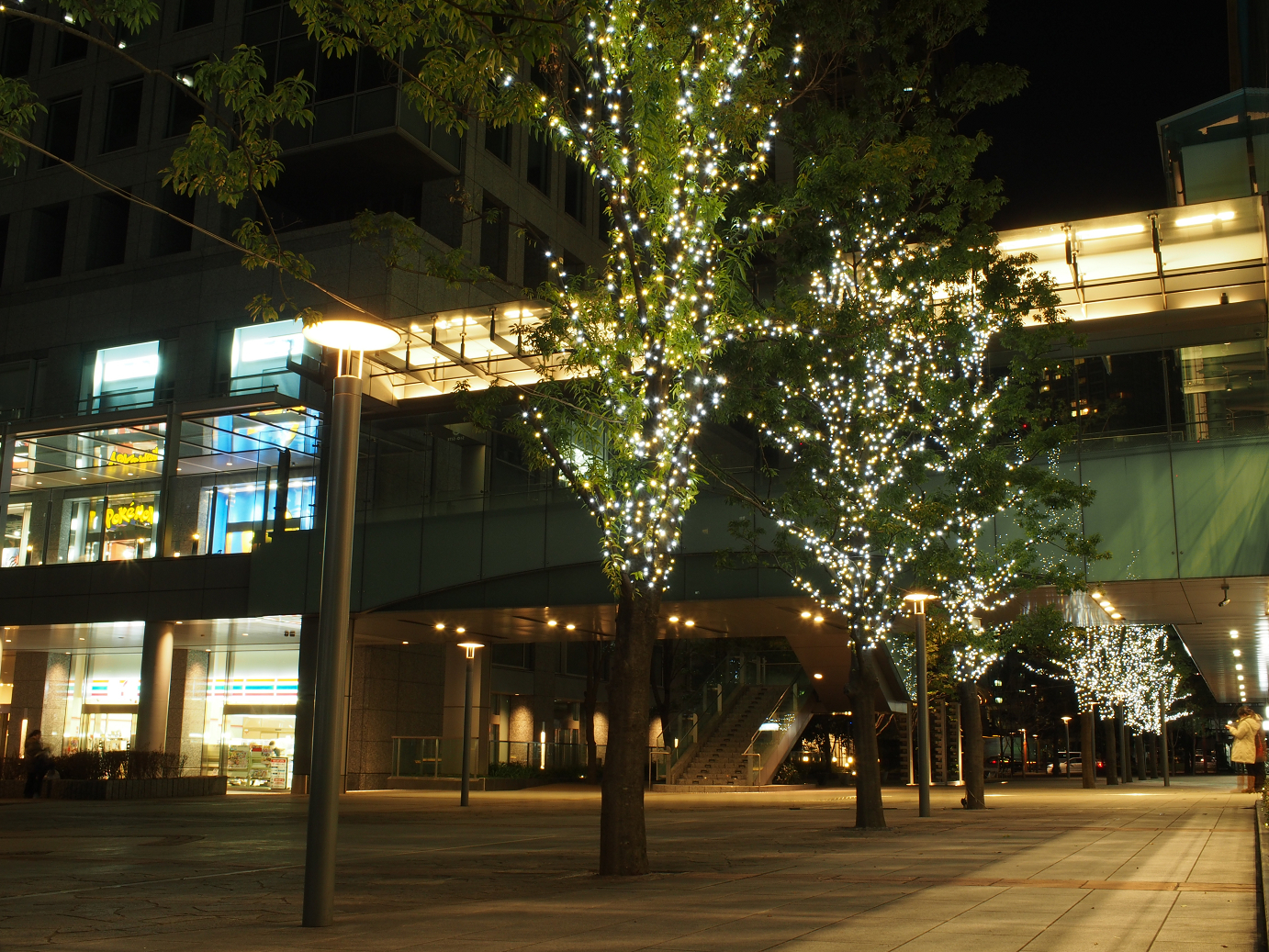 PC300111.jpg