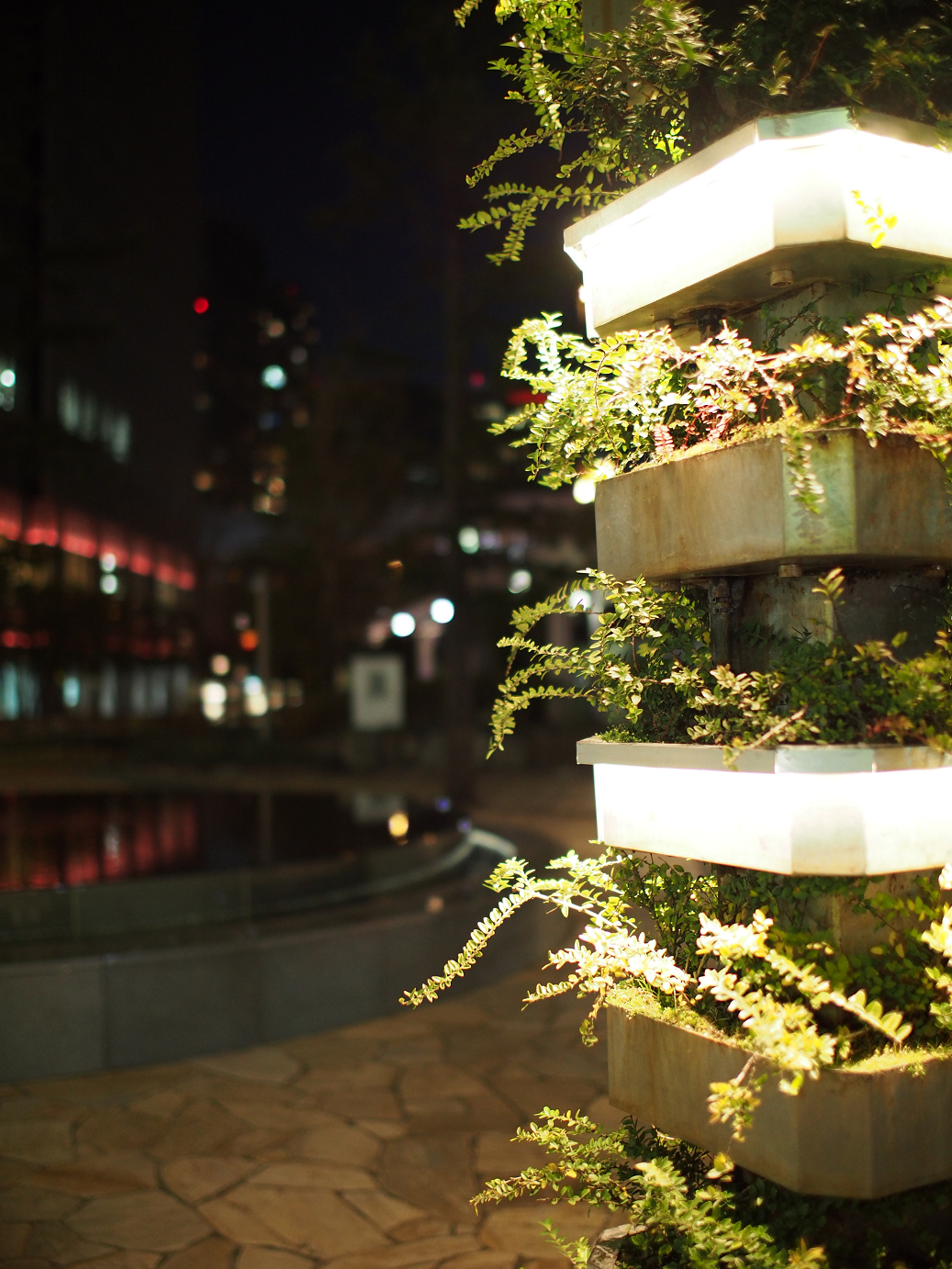 PC300116.jpg