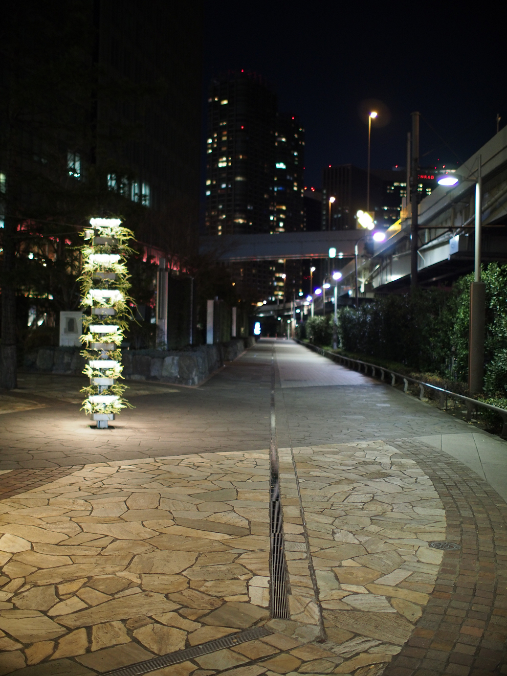 PC300119.jpg