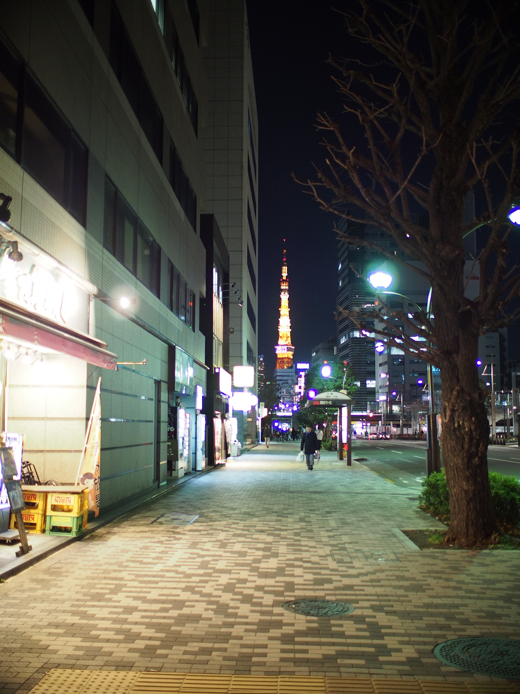 PC300120.jpg