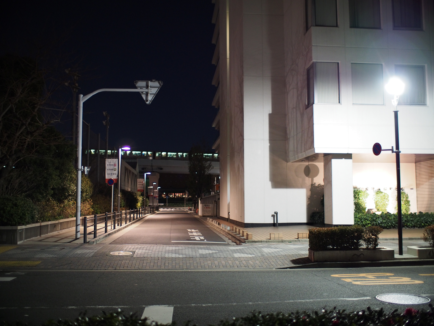 PC300126.jpg