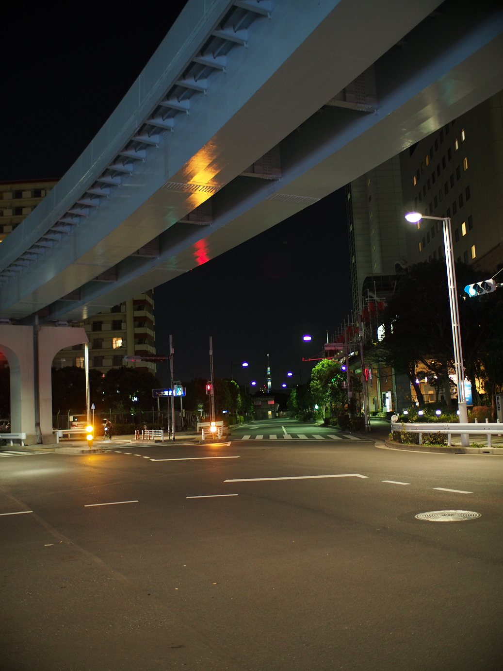 PC300129.jpg