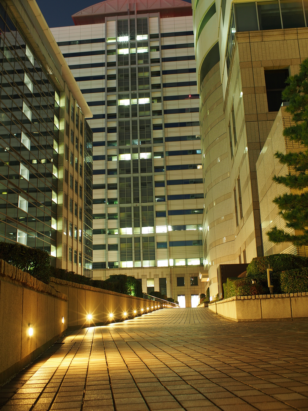 PC300209.jpg