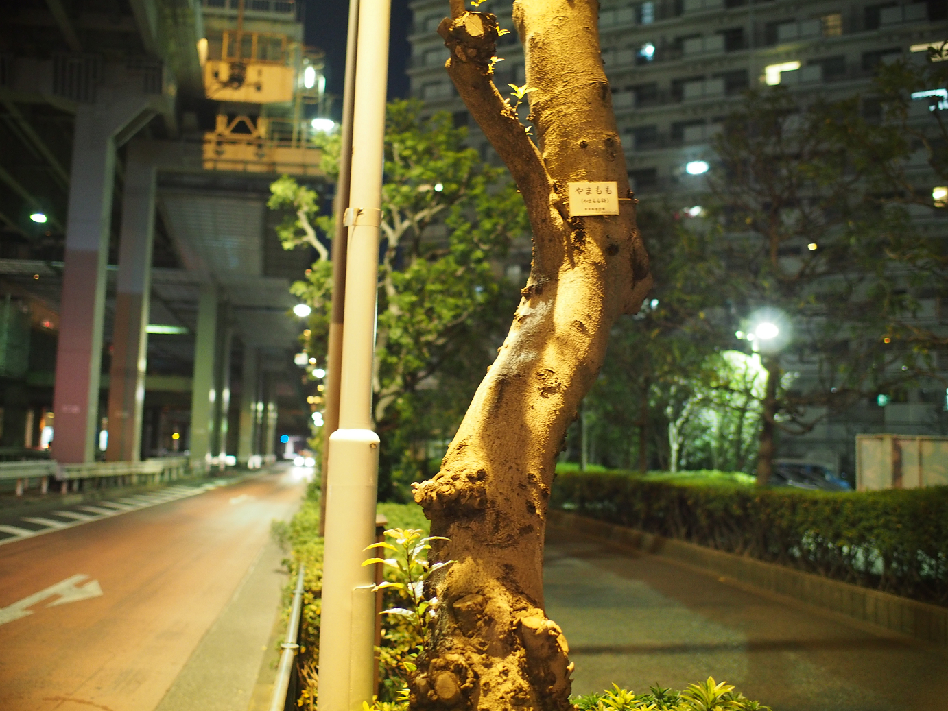 PC300244.jpg