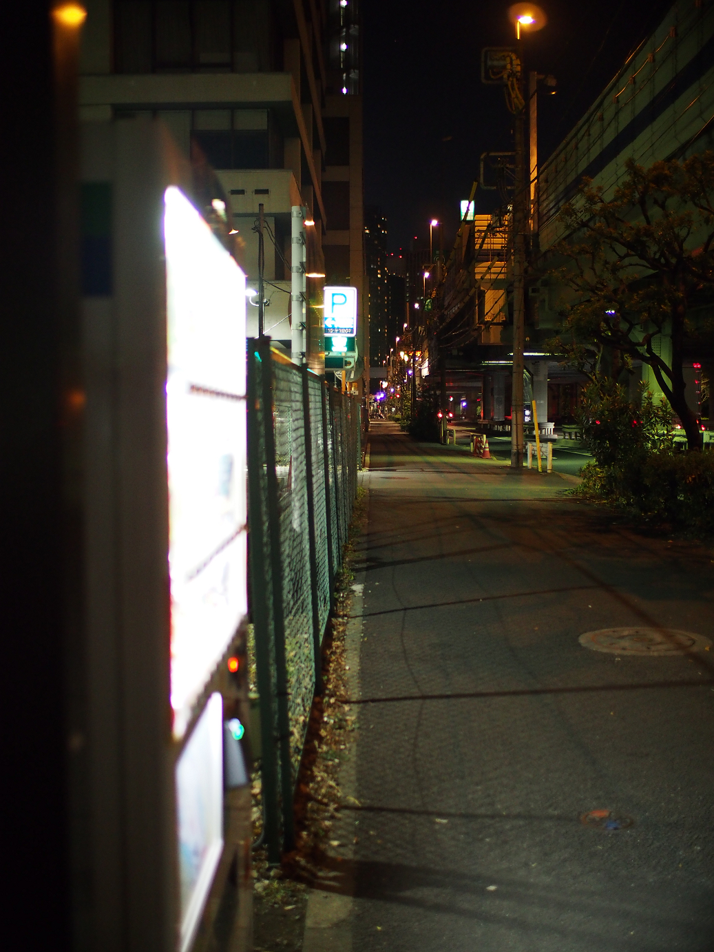 PC300257.jpg