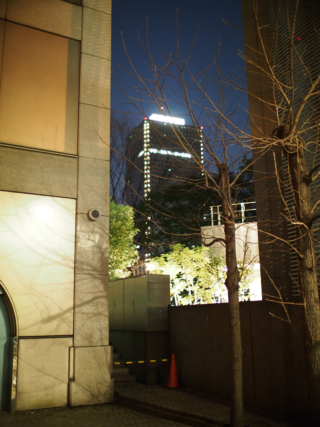 PC300266.jpg