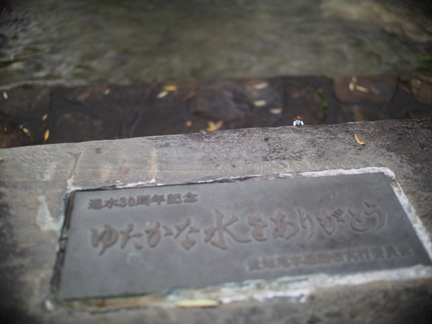 P6220258.jpg