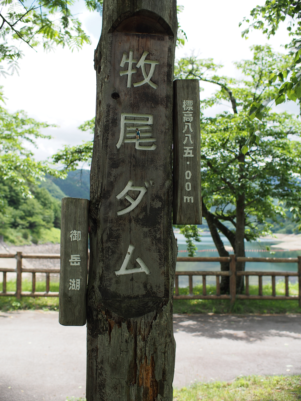 P6220275.jpg