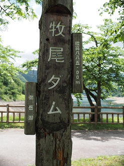 P6220275_thumb.png