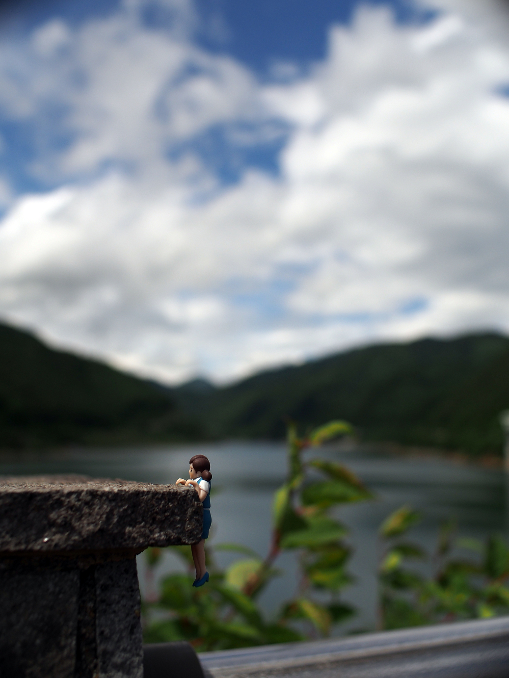 P6220345.jpg