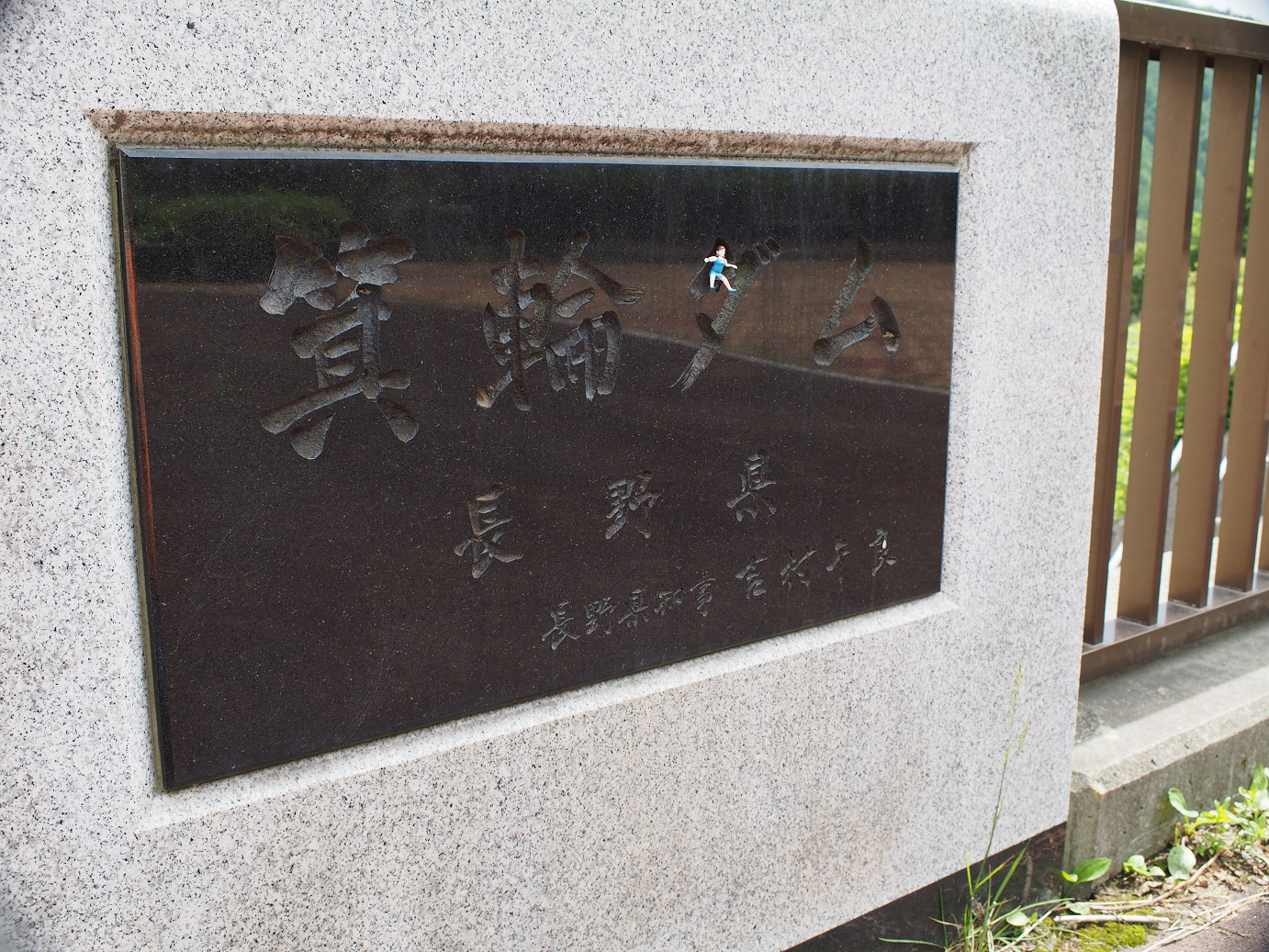 P6230154.jpg