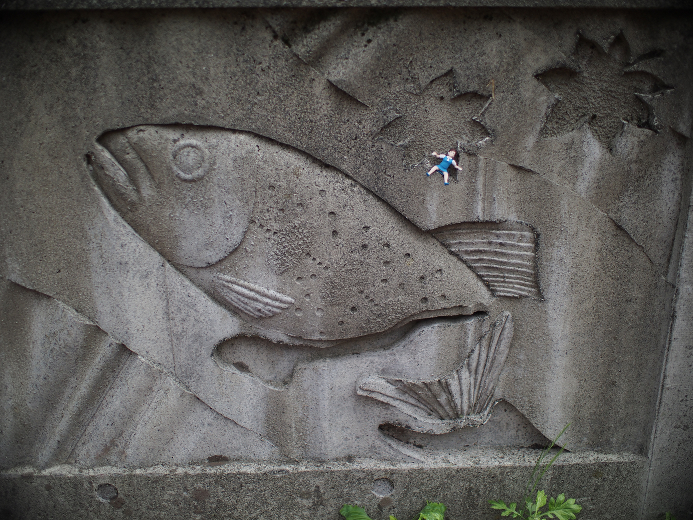P6230173.jpg
