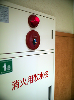 P6290194_thumb.png