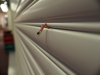 P6290227_thumb.png