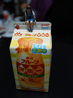 P6300252_thumb.png