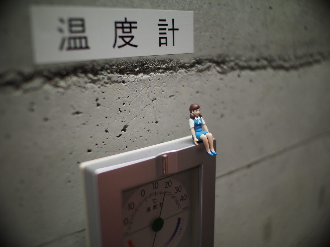 P7270160.jpg