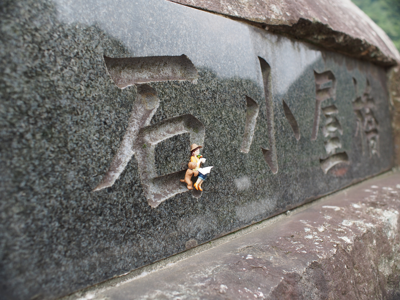 P7270349.jpg