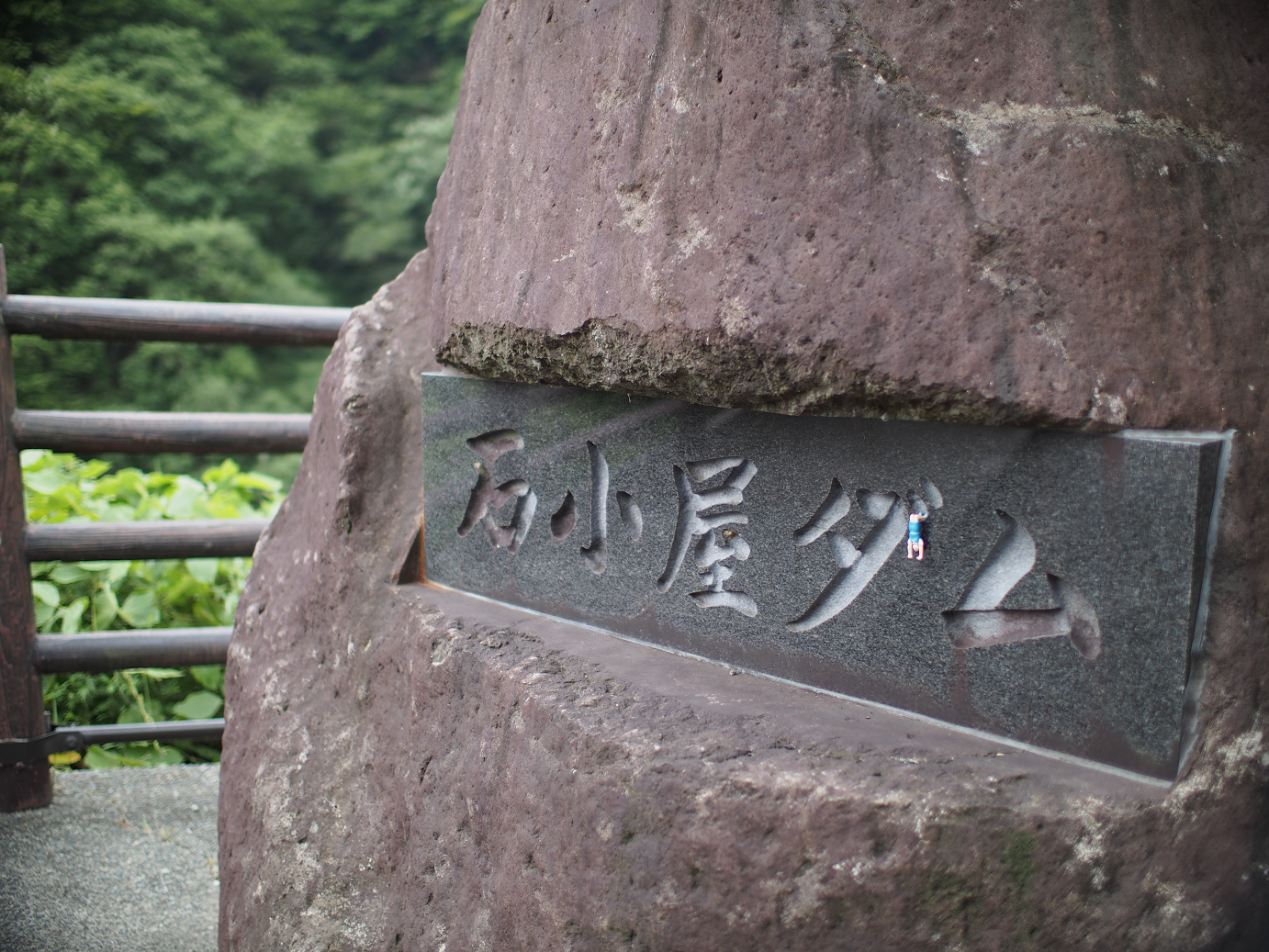P7270363.jpg