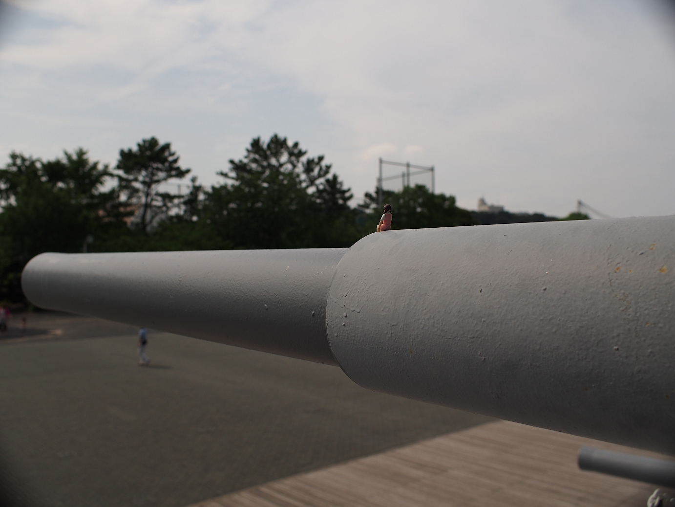 P7280307.jpg