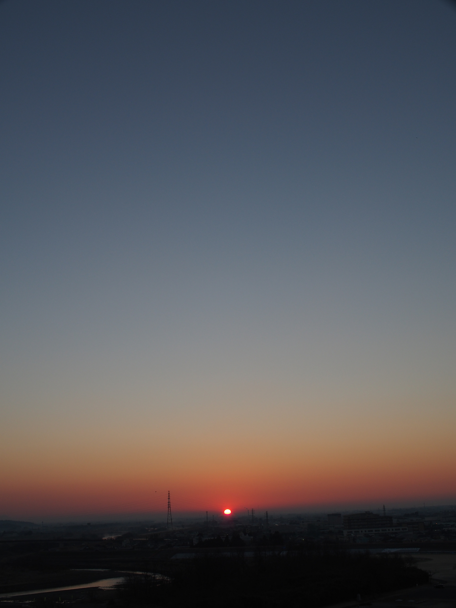 P1010382.jpg