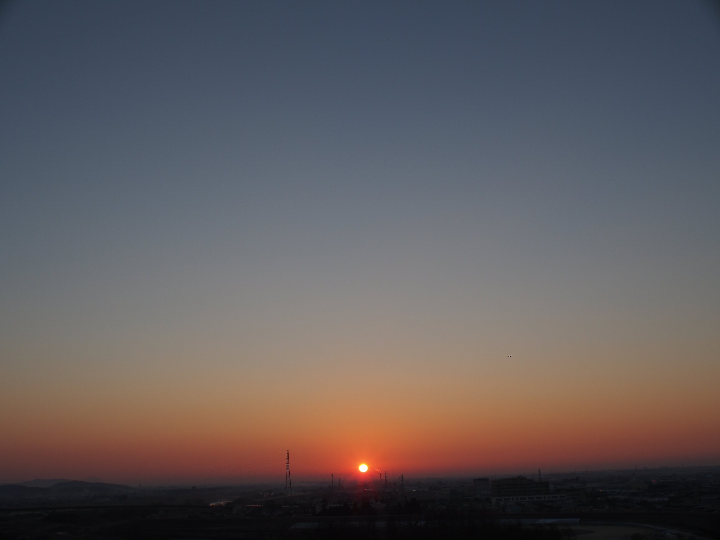 P1010388.jpg