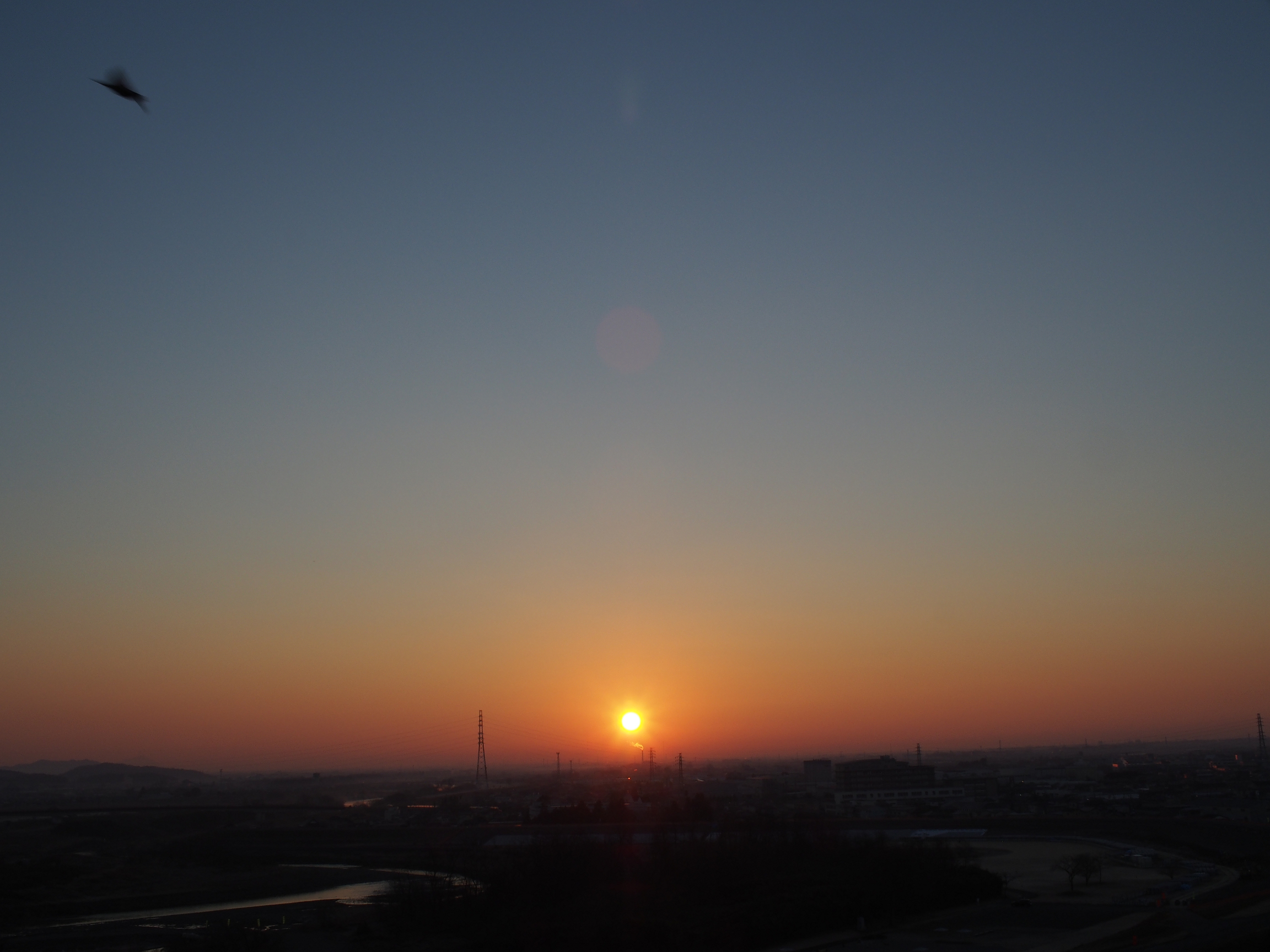 P1010403.jpg