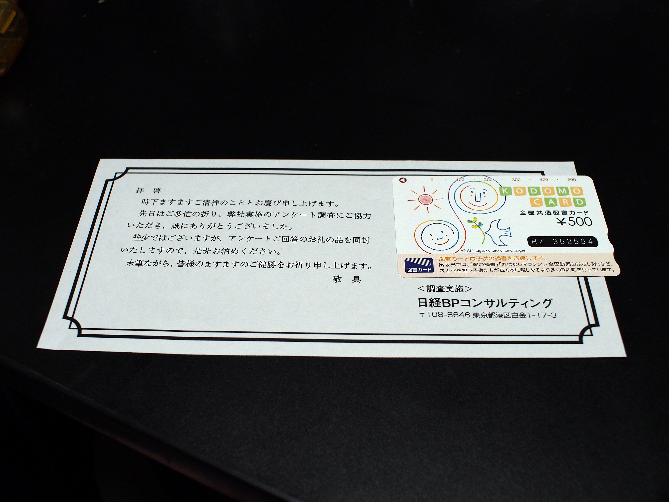 P1010412.jpg