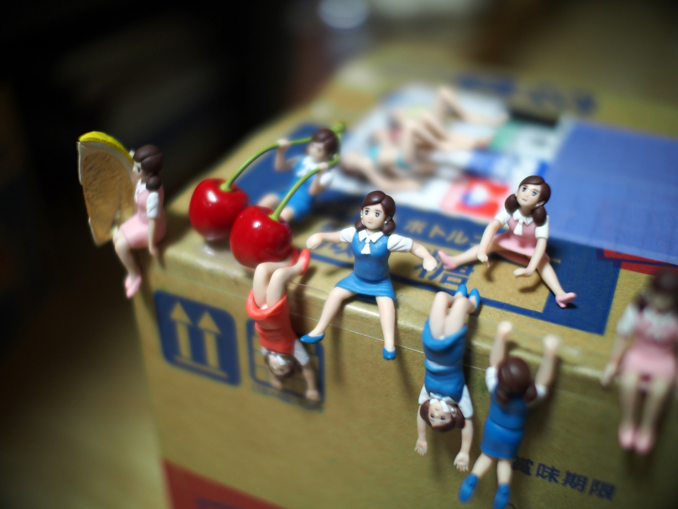 P1060461.jpg