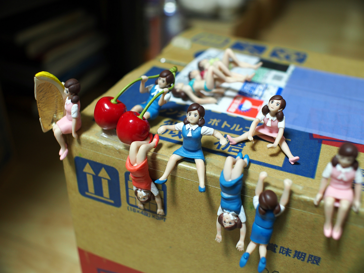 P1060462.jpg