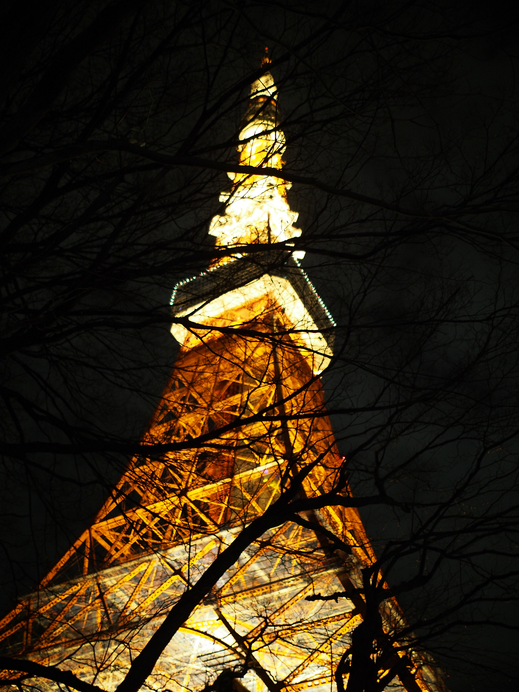 P1070539.jpg