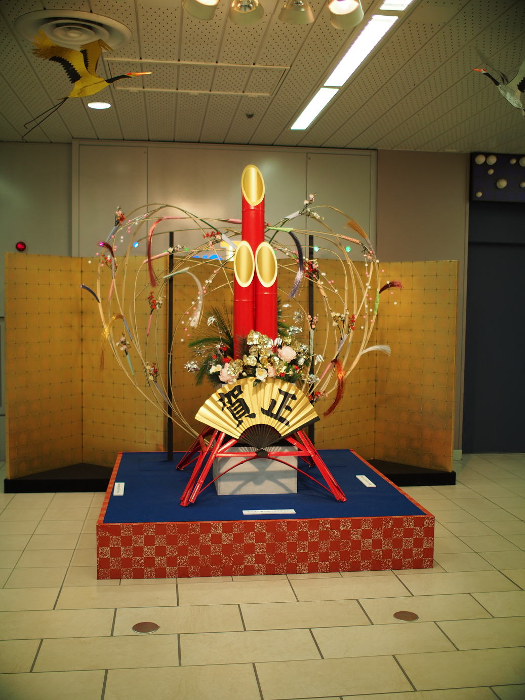 P1070646.jpg