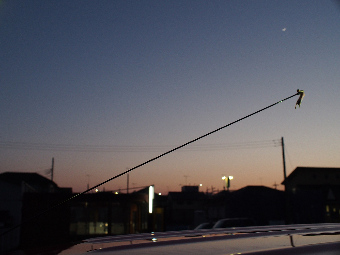 P2020129.jpg