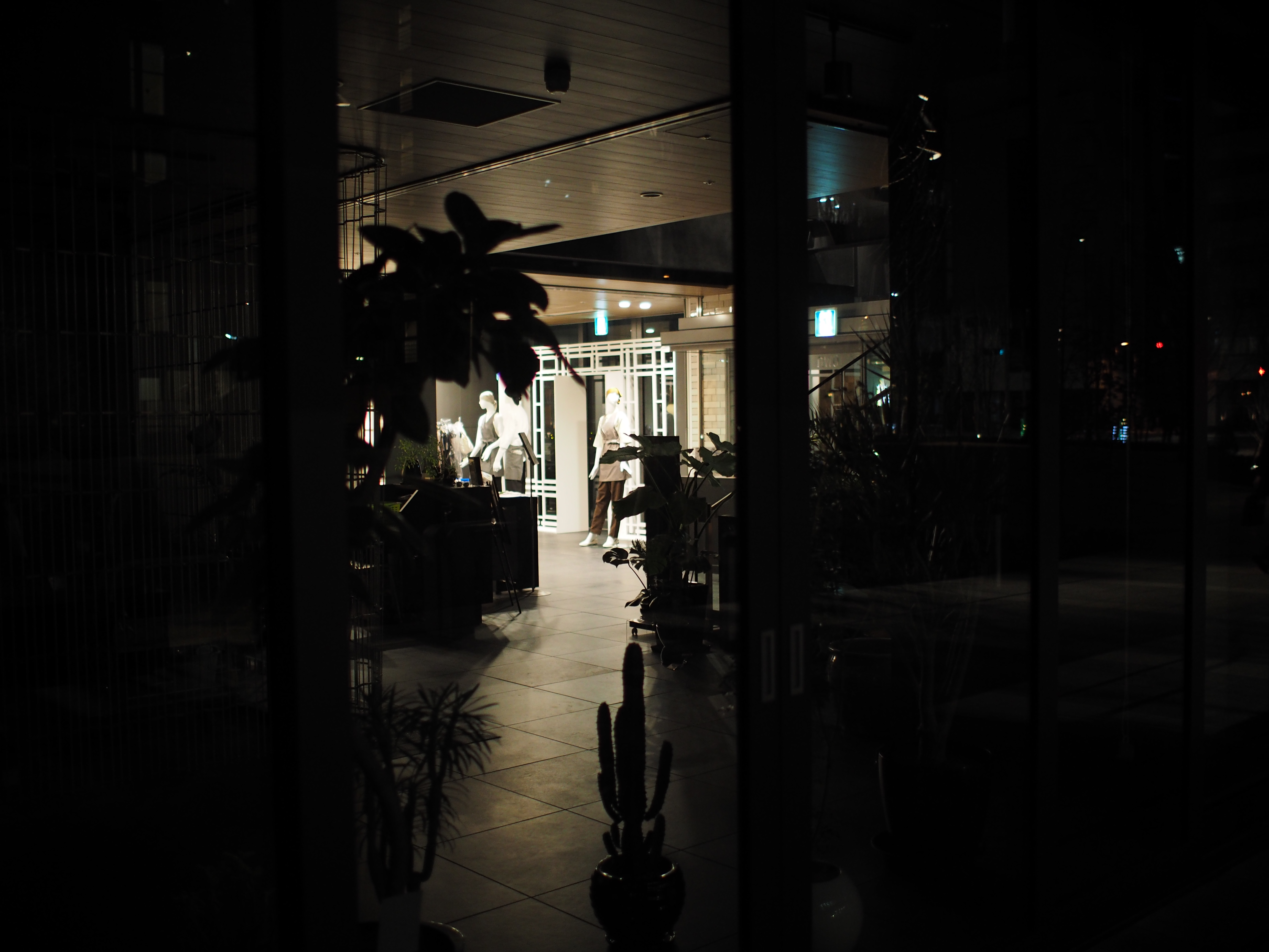 P2050182.JPG