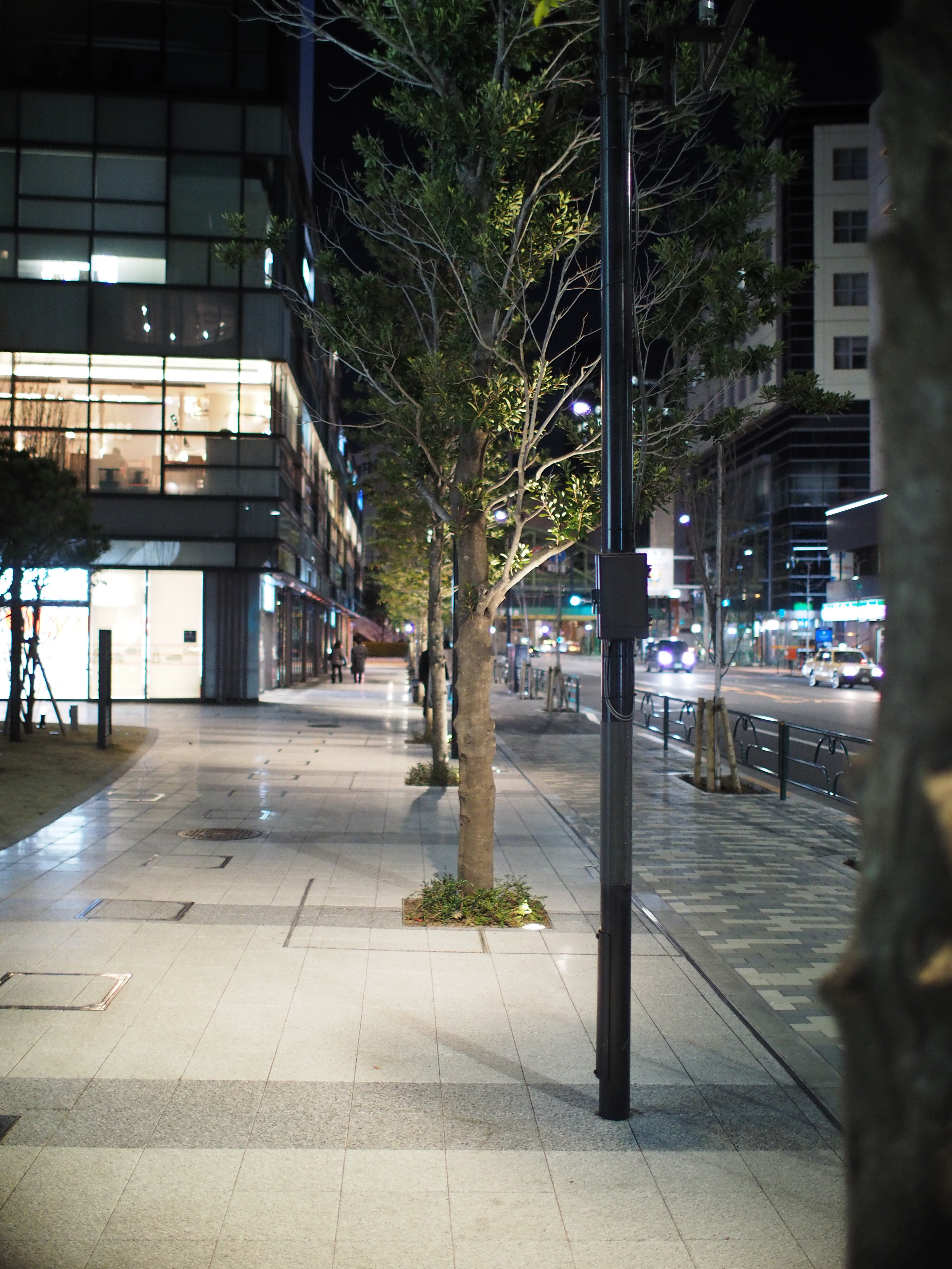 P2050201.JPG